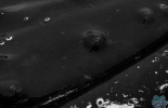 антарктида, ветер, льды, айсберги, континент, волны, пролив дрейва, десепшн, остров, пингвины, киты, вулканы